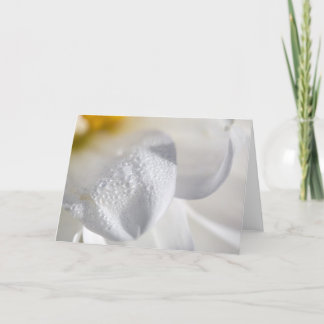 Tappar på dahliapetals kort