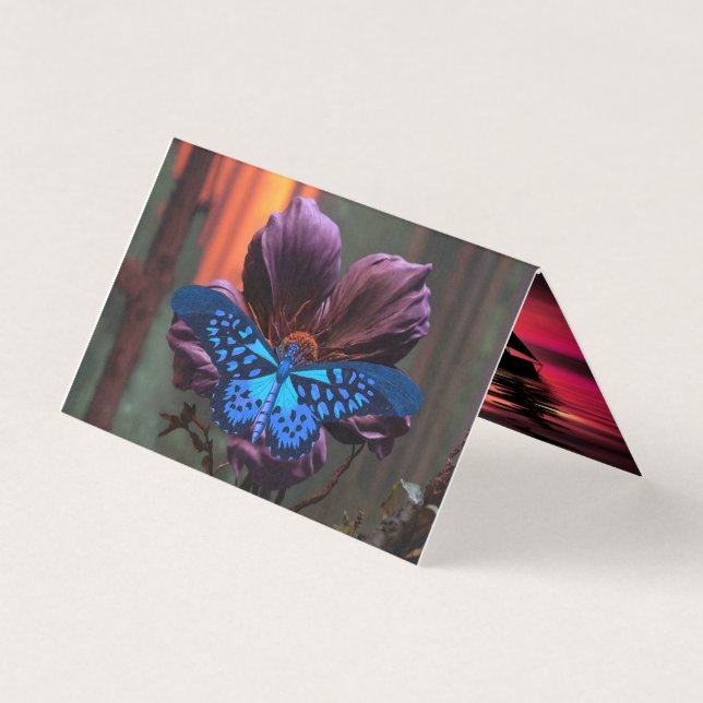 Tappat kort lyckades (Framsida)