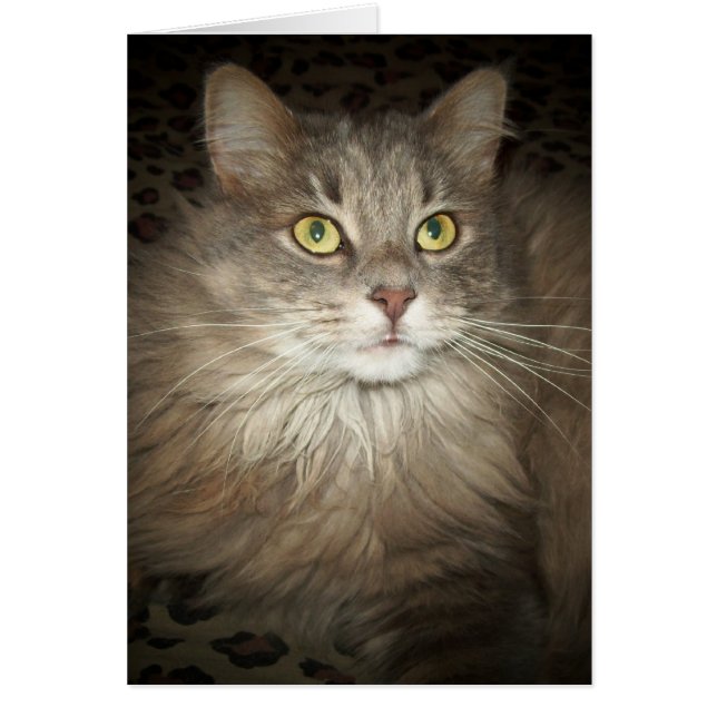 Tappning Hälsningskort (Framsidan)