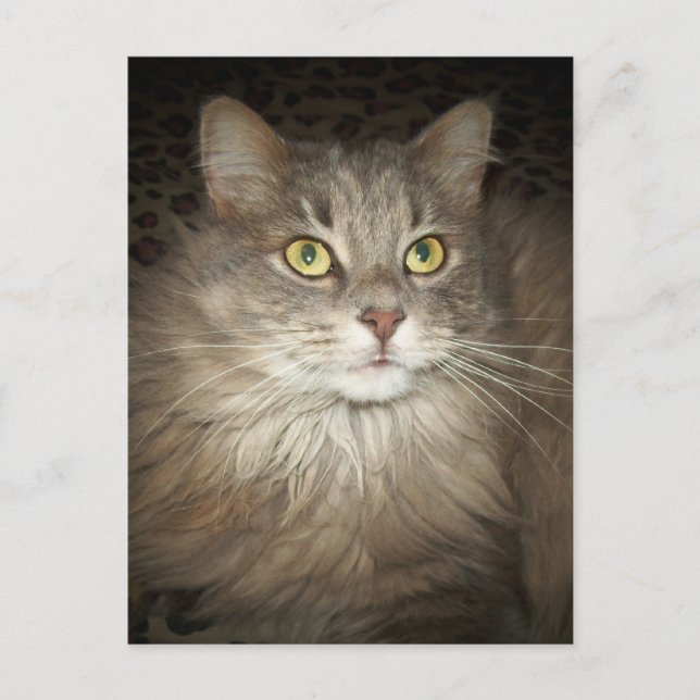 Tappning Vykort (Framsida)