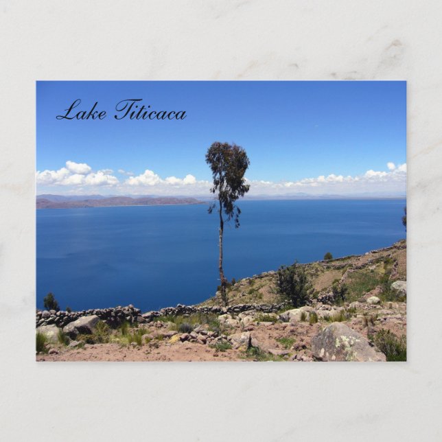 taquile träd vykort (Framsida)