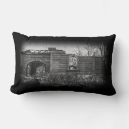 Tar emot Grav Ruin Lumbarkudde