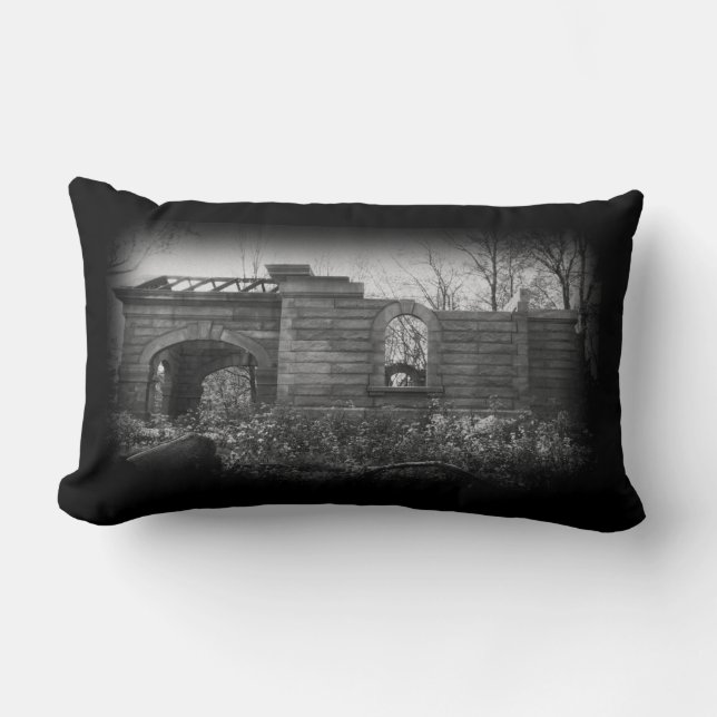 Tar emot Grav Ruin Lumbarkudde (Framsida)