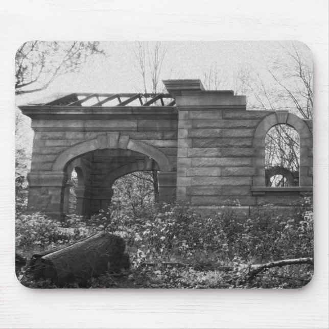 Tar emot Grav Ruin Musmatta (Framsidan)