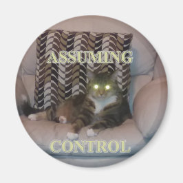 Tar kontroll över kattmagnet magnet