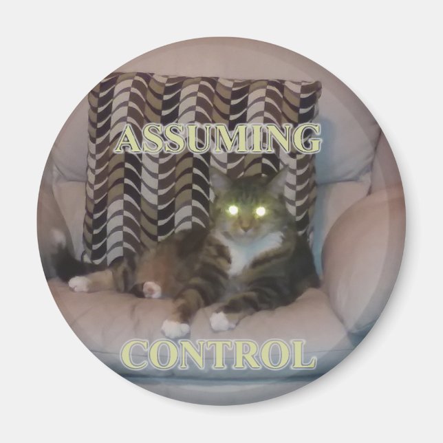 Tar kontroll över kattmagnet magnet (Framsidan)