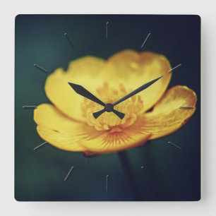 Tar tid på den blom- väggen för Buttercupblomma Fyrkantig Klocka