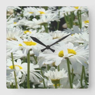 Tar tid på märkes- blom- daisyblommor för hem- fyrkantig klocka