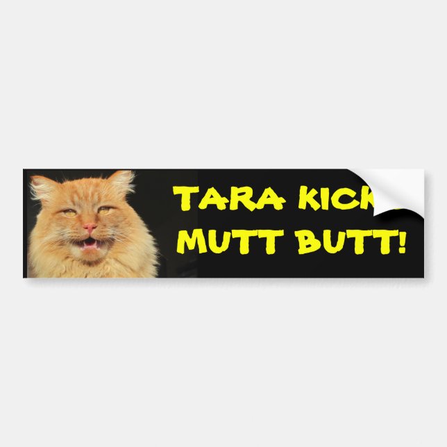 Tara Cat Kicks Mutt Butt Bildekal (Framsidan)