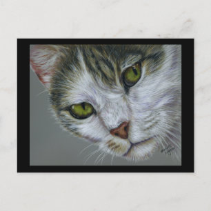 Tara - Kattkonst Vykort
