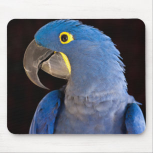 Tara Mousepad Musmatta