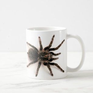 Tarantelspindelmugg Kaffemugg