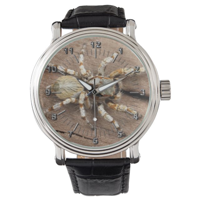 Tarantula Armbandsur (Framsida)