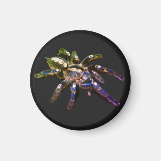Tarantula blått/rött/orange/svart spindel magnet