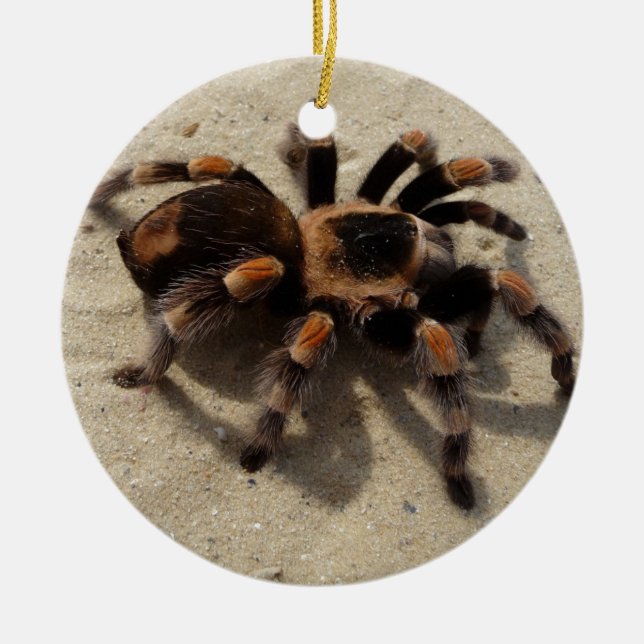 Tarantula brachypelma röd knäförgiftning julgransprydnad keramik (Framsidan)