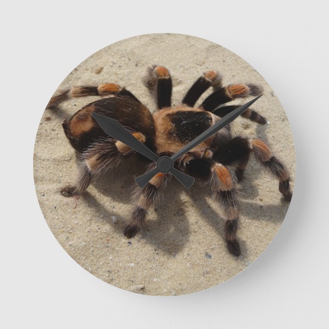 Tarantula brachypelma röd knäförgiftning rund klocka (Framsida)