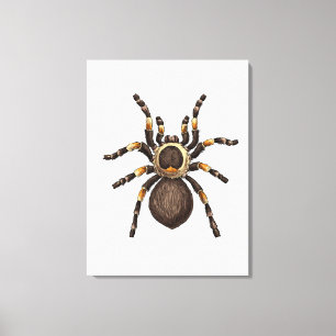Tarantula Canvastryck