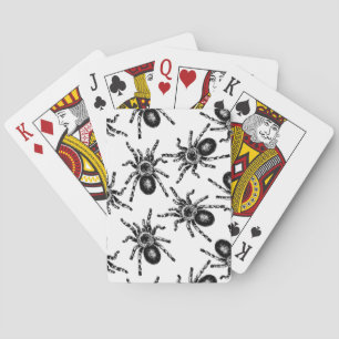 Tarantula Casinokort