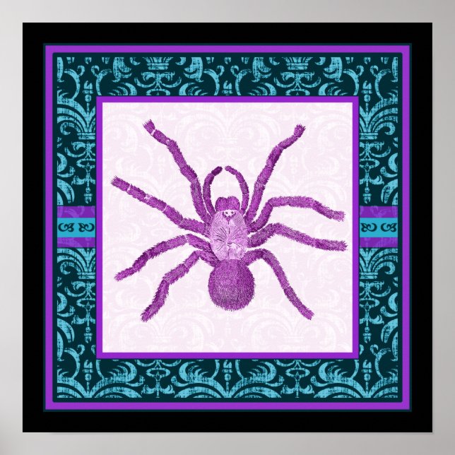 Tarantula - Elegant Teal & Fuschia Damask Gräns Poster (Framsidan)