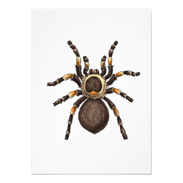 Tarantula Fototryck (Framsidan)