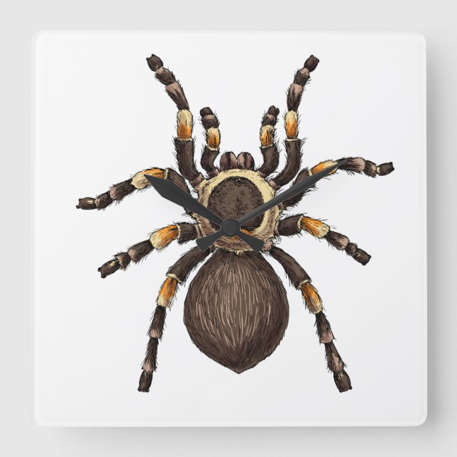 Tarantula Fyrkantig Klocka (Framsida)