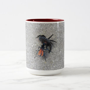 Tarantula Hawk Matande på en Tarantula Två-Tonad Mugg