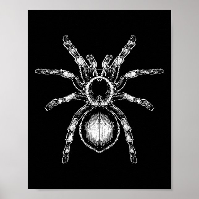 Tarantula Huge Spider Phobia Halloween Costume Ara Poster (Framsidan)