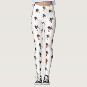 Tarantula-illustration av tecknaden leggings