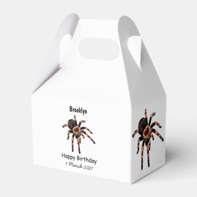 Tarantula-illustration av tecknaden presentaskar (Framsidan Sidan)