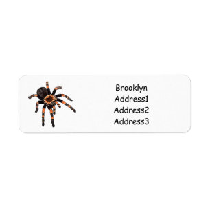 Tarantula-illustration av tecknaden returadress etikett