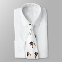 Tarantula-illustration av tecknaden