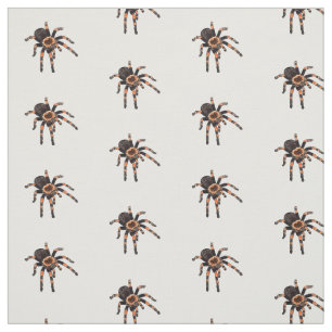 Tarantula-illustration av tecknaden tyg