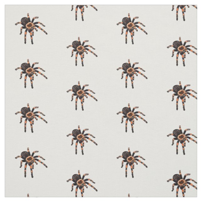 Tarantula-illustration av tecknaden tyg (Provkarta)
