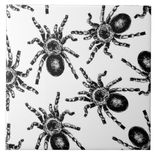 Tarantula Kakelplatta