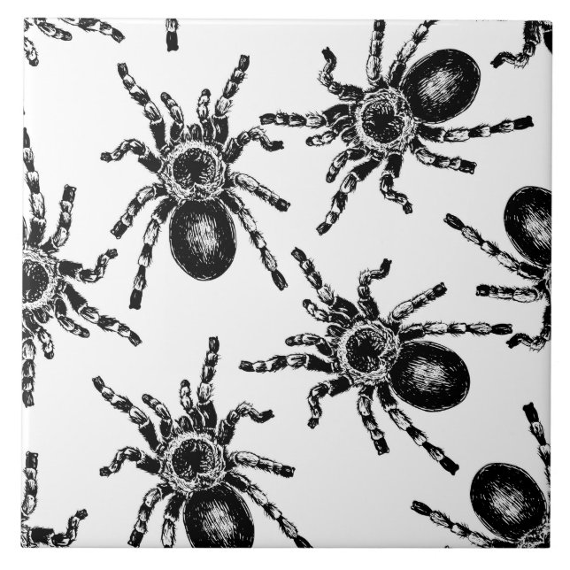 Tarantula Kakelplatta (Framsidan)