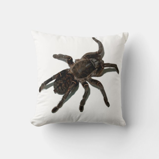 Tarantula Kudde (Framsida)