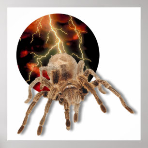 Tarantula Lightning Poster
