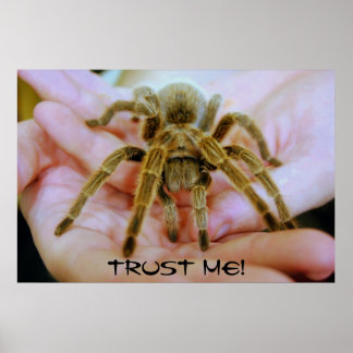 Tarantula, lita på mig! poster
