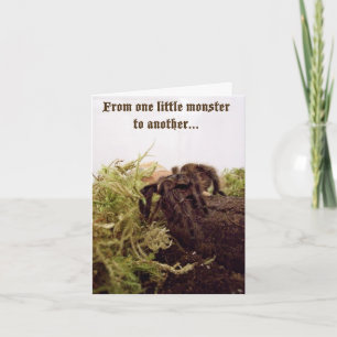 Tarantula Little Monster Birthday Card Kort