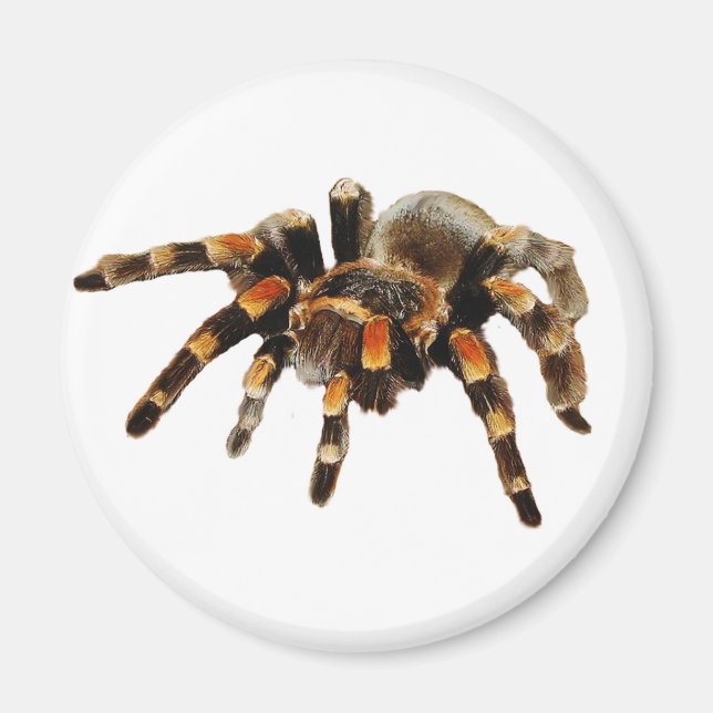 Tarantula Magnet (Framsidan)