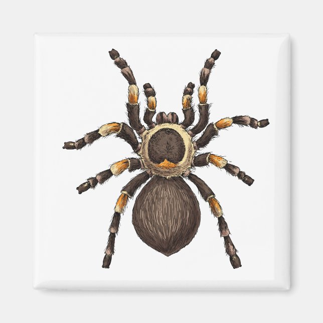Tarantula Magnet (Framsidan)