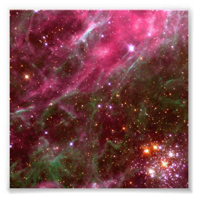 Tarantula Nebula (Hubble Telescope) Fototryck (Framsidan)