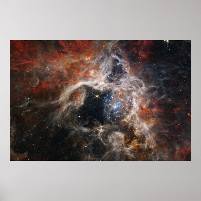 Tarantula Nebula James Webb NASA Poster (Framsidan)