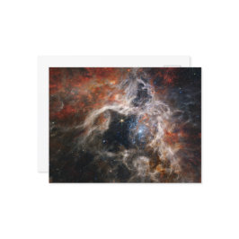 Tarantula Nebula | NIRCam | JWST Vykort