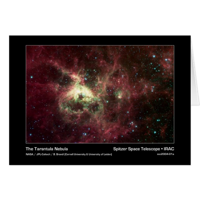 Tarantula Nebula - Spitzer Space Telescope - I Hälsningskort (Framsidan Horizontal)