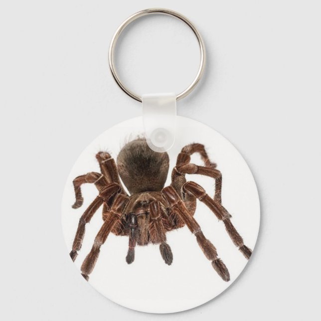 TARANTULA NYCKELRING (Framsida)