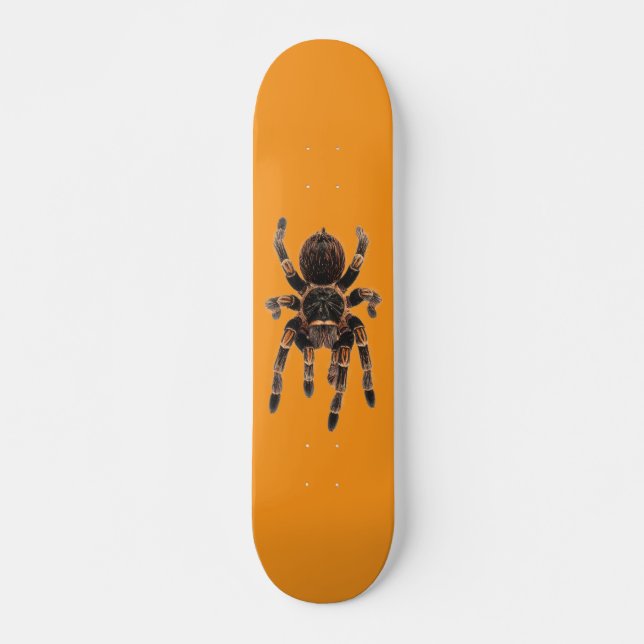 Tarantula orange mini skateboard bräda 18,5 cm (Framsida)
