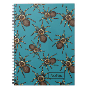 Tarantula på blå anteckningsbok