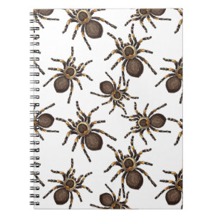 Tarantula på vitt anteckningsbok
