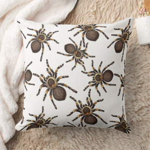 Tarantula på vitt kudde